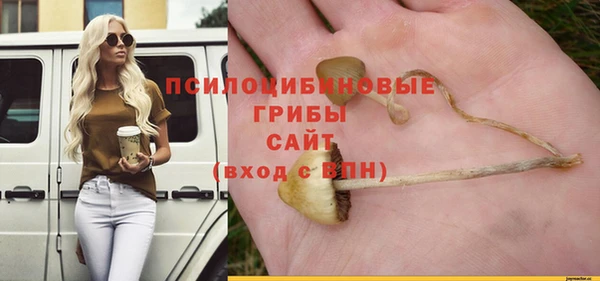 тгк Балахна