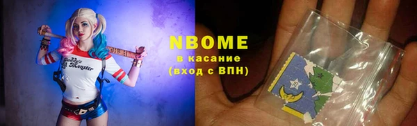 прущие грибы Беломорск
