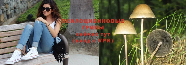тгк Балахна